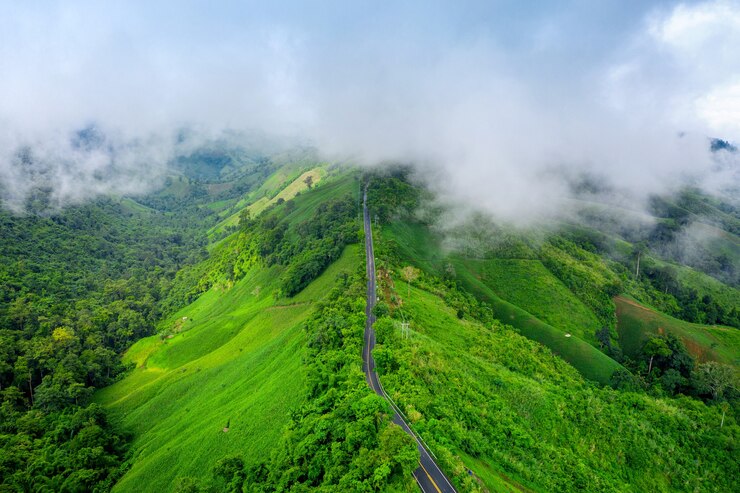 Munnar, Kerala